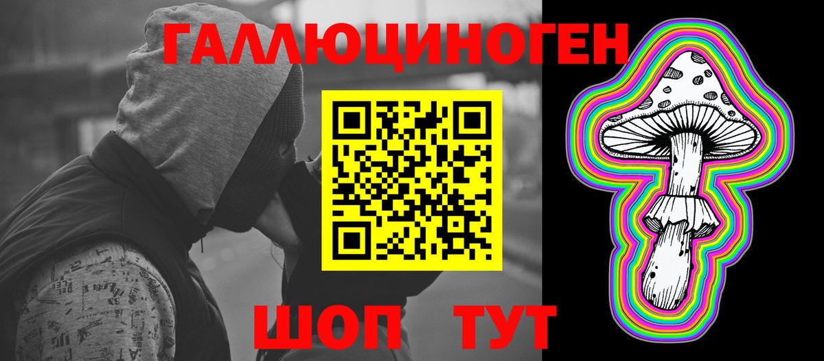 Галлюциногенные грибы Psilocybe Джанкой